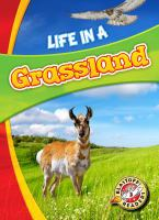 Life_in_a_grassland